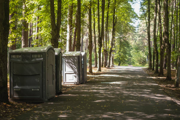Portable Toilet Options We Offer in Curtice, OH